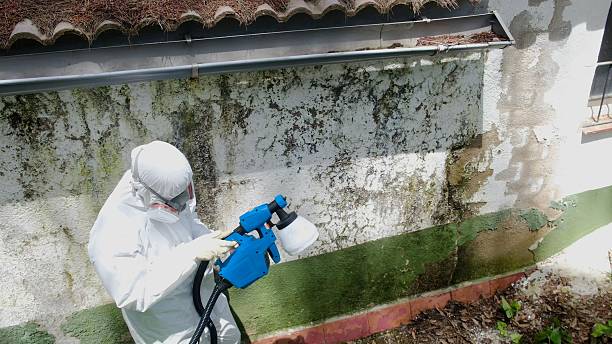 Trusted Commercial Mold Remediation service in Hawk Run, PA - Cheap Mold Removal
